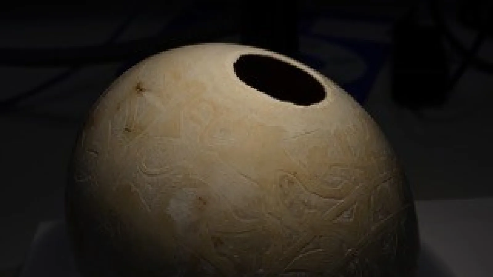Picture of a luxury item ostrich egg