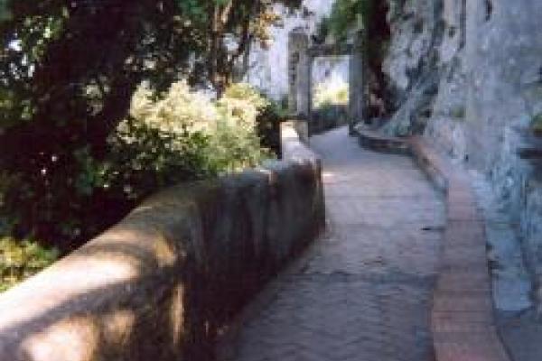 A winding path. Image of a winding path to symbolize learning and progress.